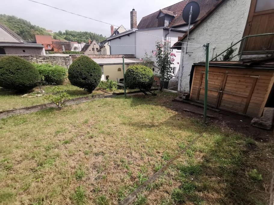 Mit Garten Und Terrasse, Zentral Und Ruhig Apartment Freyburg