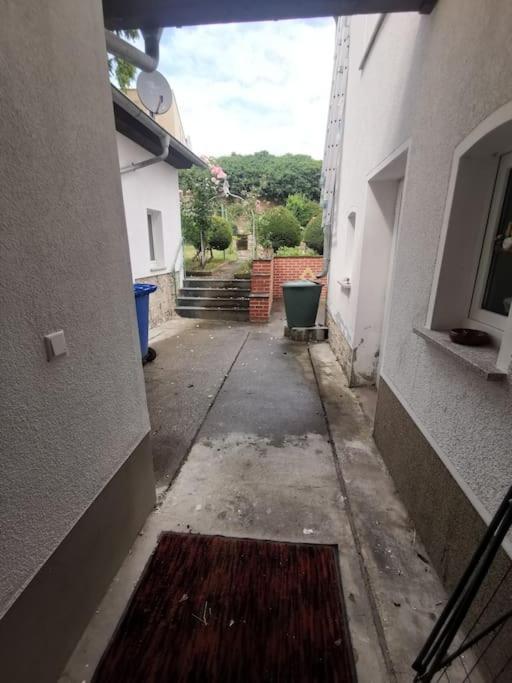 Apartment Mit Garten Und Terrasse, Zentral Und Ruhig Freyburg